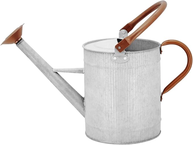 1 Gallon Metal Watering Can with Removable Spout, Galvanized Farmhouse Style