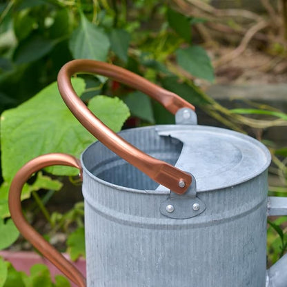1 Gallon Metal Watering Can with Removable Spout, Galvanized Farmhouse Style