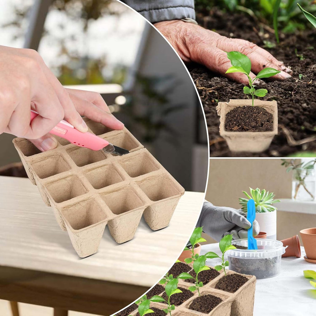 10-Pack Seed Starter Trays, 120 Cells Biodegradable with Labels & Transplant Tools