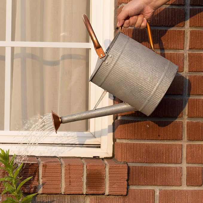 1 Gallon Metal Watering Can with Removable Spout, Galvanized Farmhouse Style
