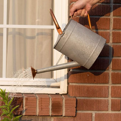 1 Gallon Metal Watering Can with Removable Spout, Galvanized Farmhouse Style
