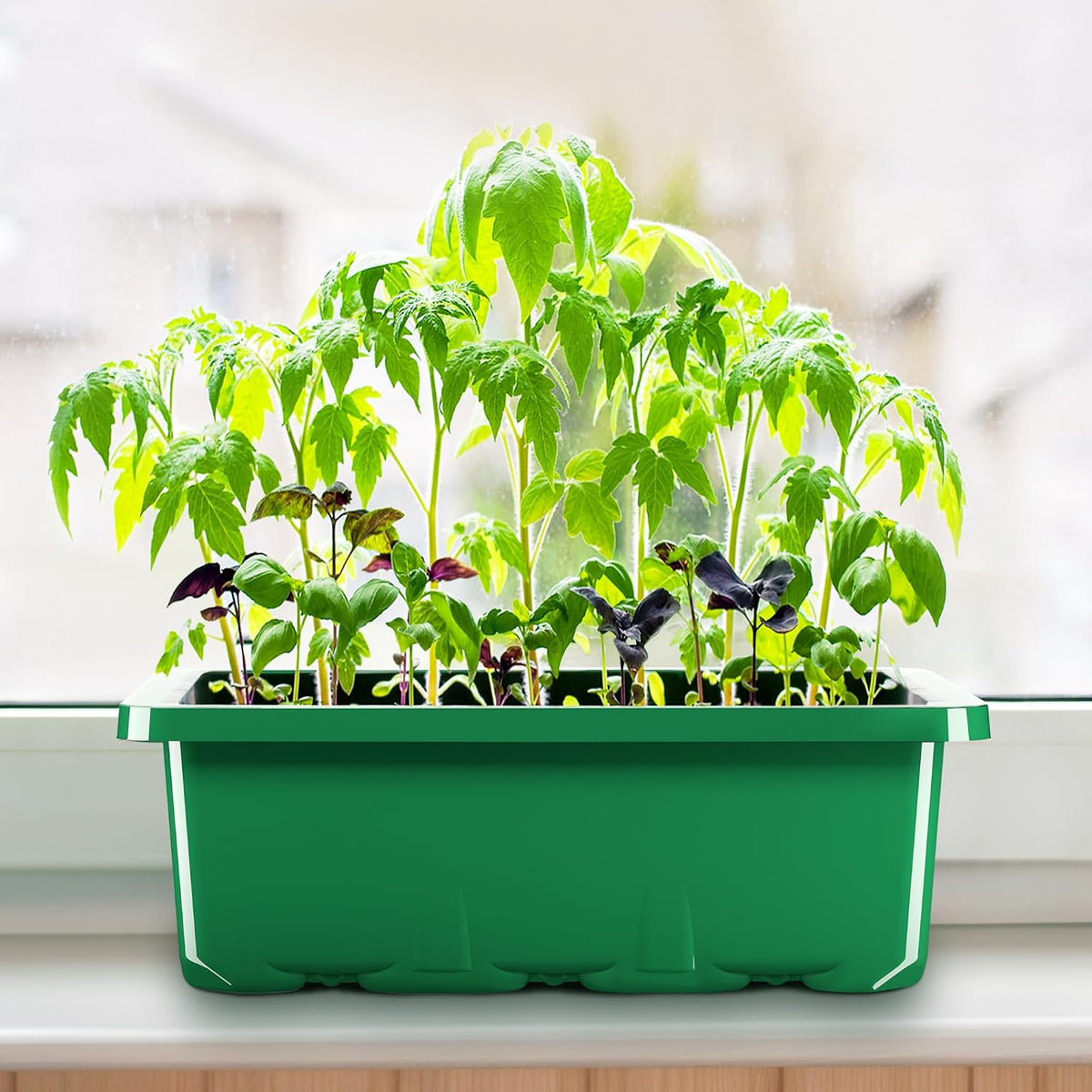 10 Pack Seed Starter Tray, 120Cell Stater Kit with Humidity Dome Green