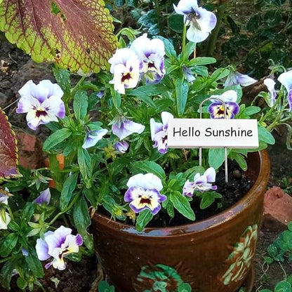 50-Pack Metal Plant Labels with 2 Pens, 10.6" Weatherproof Garden Markers
