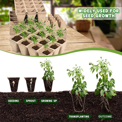10-Pack Seed Starter Trays, 120 Cells Biodegradable with Labels & Transplant Tools